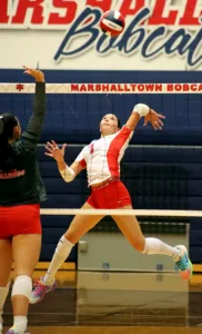 ’Dogs bite ’Cats in Alliance clash